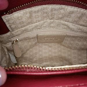 Charming Charlie Purse